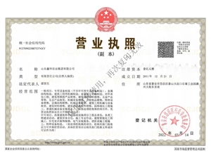 山东鑫华实业集团有限公司